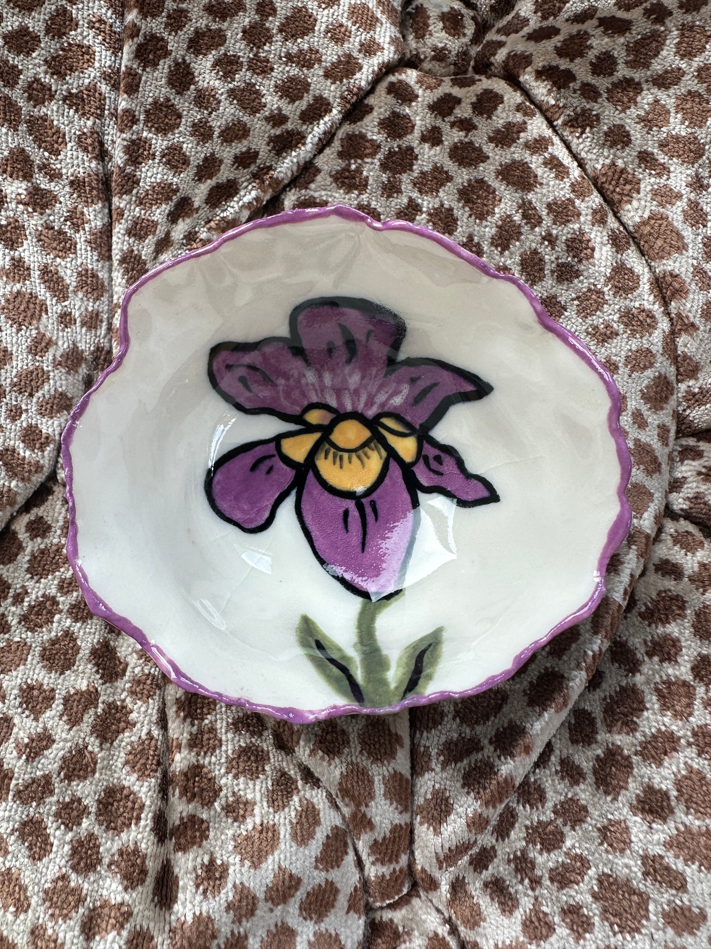 Iris
