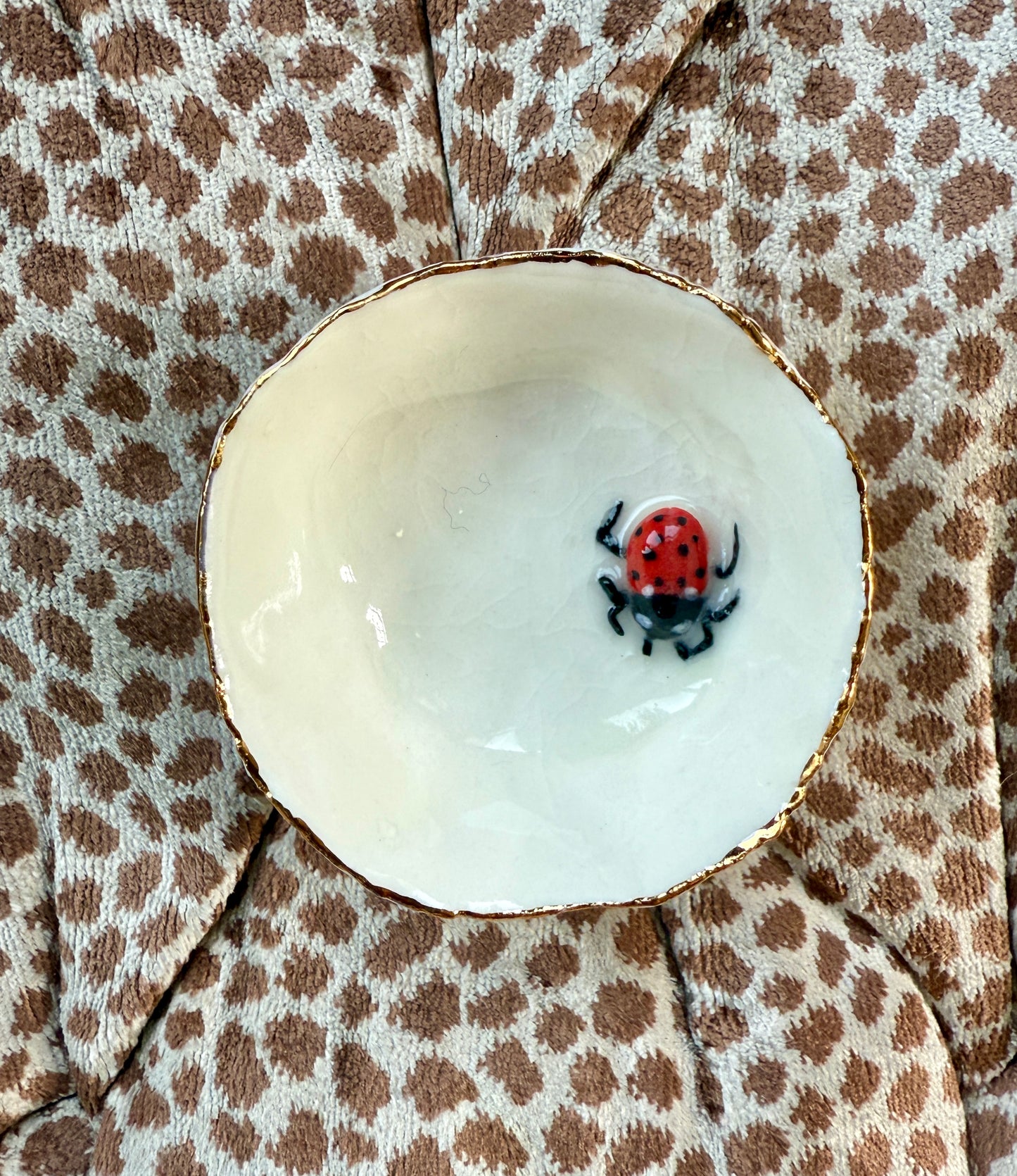 Ladybird