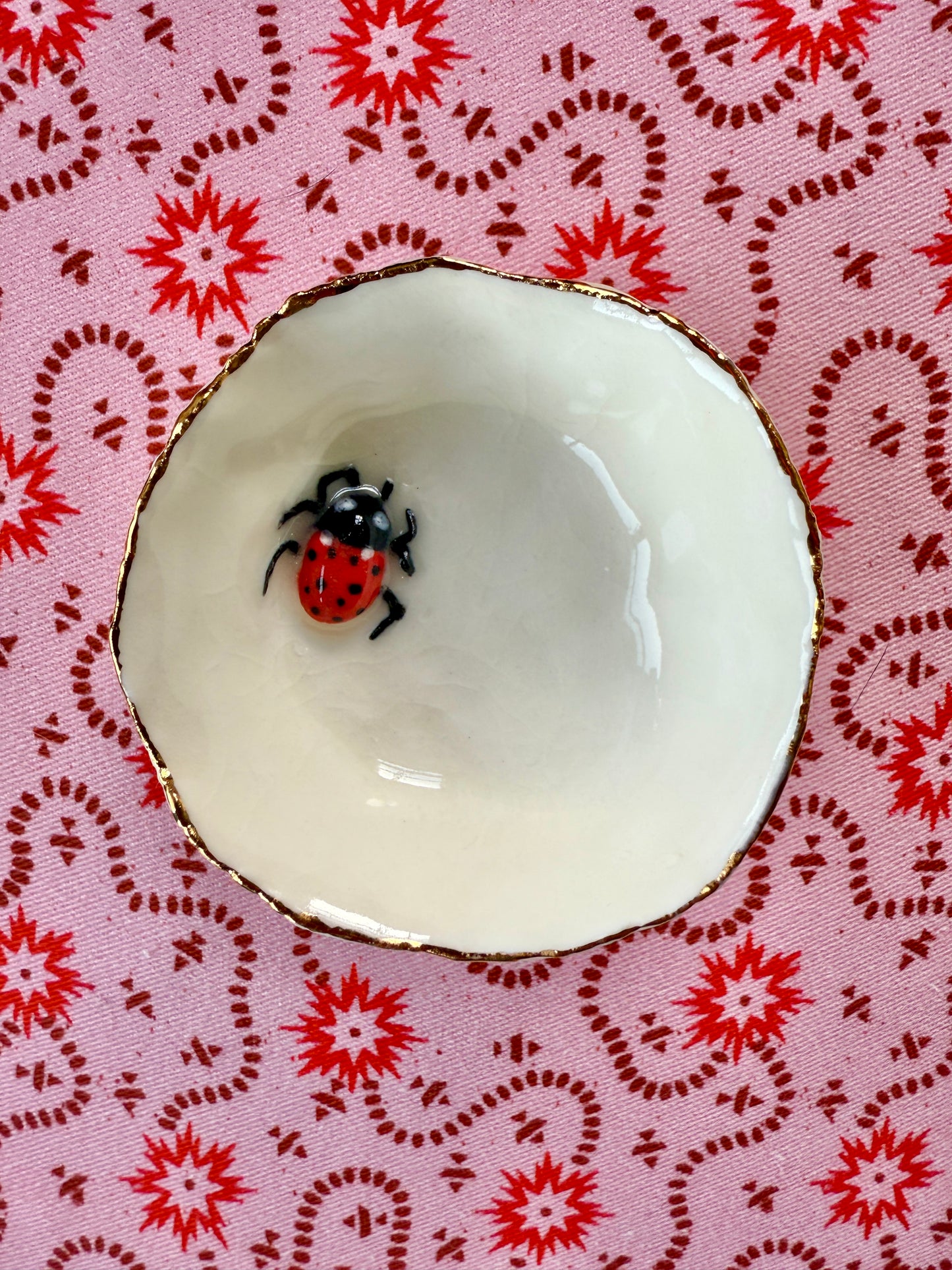 Ladybird