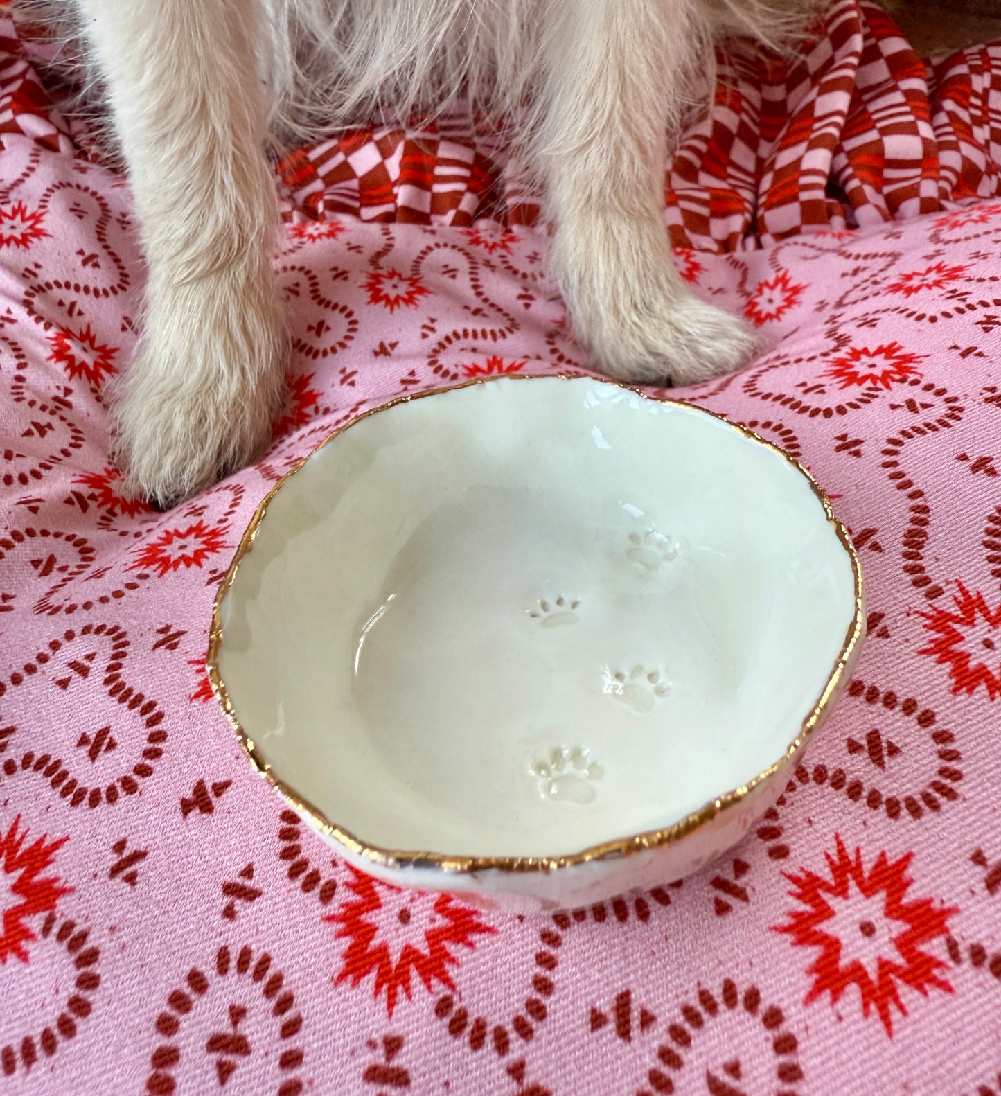 Dog paw print