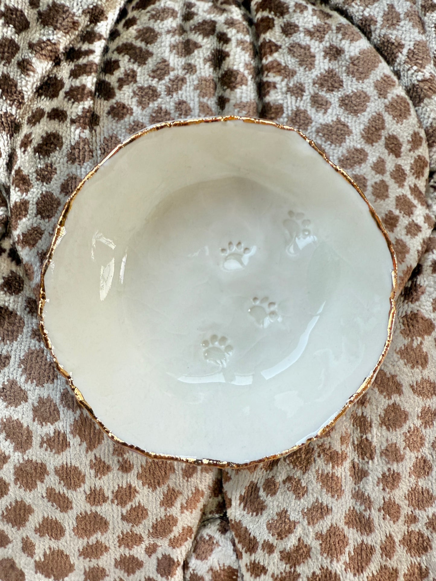 Dog paw print